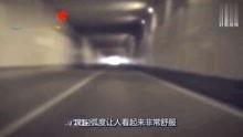 国产大鲶鱼视频在线播放,探寻水下奇观，感受自然魅力
